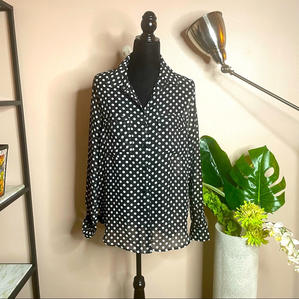 Forever 21 Women's Sheer Polka Dot Buttondown Collared Long Sleeve Blouse